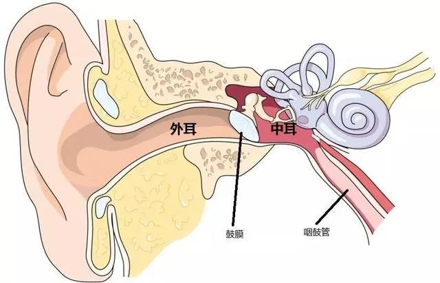 孩子感冒后喊耳朵疼，警惕急性中耳炎！ - 广安市妇幼保健院